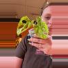 plant/neon Madonna starter-0-thumbnail