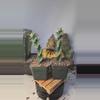 plant/239 Spiral euphorbia tortirama, 5"+ gc-0-thumbnail