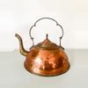 plant/Vintage copper kettle-0-thumbnail