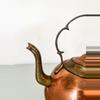 plant/Vintage copper kettle-2-thumbnail