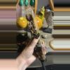 plant/Brazil Agate on Stand-2-thumbnail