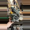 plant/Lab Iguana-0-thumbnail