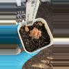 plant/a44 obtuse var-0-thumbnail