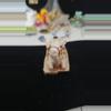 plant/camel trinket box-0-thumbnail