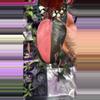 plant/Philodendron Marble Pink Princess-1-thumbnail