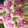 plant/Diversifolia splash cutting-1-thumbnail