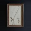 plant/Framed Antique Pressed Botanical 1863-0-thumbnail
