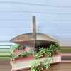 plant/Brass coal scuttle-0-thumbnail