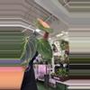 plant/anthurium KOS 1558-0-thumbnail
