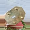 plant/Marge brass cricket box-2-thumbnail
