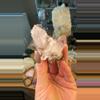 plant/Scarlet temple pink Lemurian 68-0-thumbnail