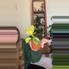 plant/Philodendron Green Congo Nuclear-0-thumbnail