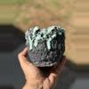 plant/Teal Drip 4.5x4H-0-thumbnail