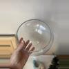 plant/Short glass bowl-0-thumbnail