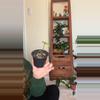 plant/Pepperonis Watermelonia-0-thumbnail