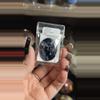 plant/Pietersite Cab-0-thumbnail