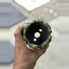 plant/Slime 3.75x3.5H-1-thumbnail