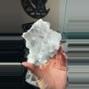plant/Angel wing calcite with pyrite-0-thumbnail