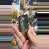 plant/Leaf Fossil-0-thumbnail