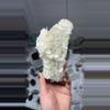 plant/Angel wing calcite-0-thumbnail