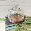 plant/glass cloche and wooden base-1-thumbnail