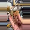 plant/Unknown Fossils-0-thumbnail