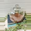 plant/glass cloche and wooden base-0-thumbnail
