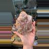 plant/Pet wood slab-0-thumbnail
