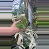 plant/PS-5319 Begonia aff. ‘Emerald Jewel’-0-thumbnail