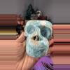 plant/Larimar Monkey Skull-0-thumbnail