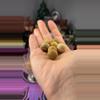 plant/Picture Jasper-0-thumbnail