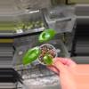 plant/C039 Philodendron Green Congo+Alocasia Longiloba reverted Bundle-3-thumbnail