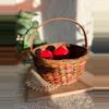 plant/Red and brown basket with handle-0-thumbnail