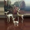 plant/Family set of 3 (small Doe)-0-thumbnail