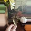 plant/Small Etched Brass Leaf Ashtray-1-thumbnail