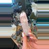 plant/Scarlet temple pink Lemurian-0-thumbnail