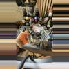 plant/Partial payment for basket-0-thumbnail