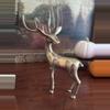 plant/Family set of 3 (small Doe)-5-thumbnail