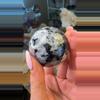 plant/Rainbow moonstone-0-thumbnail