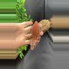 plant/260 Luna X Twizzler Make stripe garg by Cosmic Ex 28g-0-thumbnail