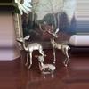 plant/Family set of 3 (small Doe)-2-thumbnail