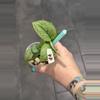 plant/d4. exotica mojito-0-thumbnail
