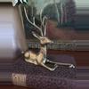 plant/Smaller Laying Down Buck-0-thumbnail