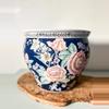 plant/Large Vintage fishbowl planter-0-thumbnail