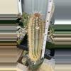 plant/9” Columnar cactus (sp?)-0-thumbnail