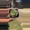 plant/Daredevil-0-thumbnail