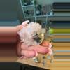 plant/Calcite 90-0-thumbnail