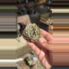 plant/mystery import cluster-0-thumbnail