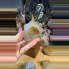 plant/Druzy Agate Money Toad 35AE-0-thumbnail