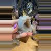 plant/Druzy Agate Money Toad 30AG-0-thumbnail
